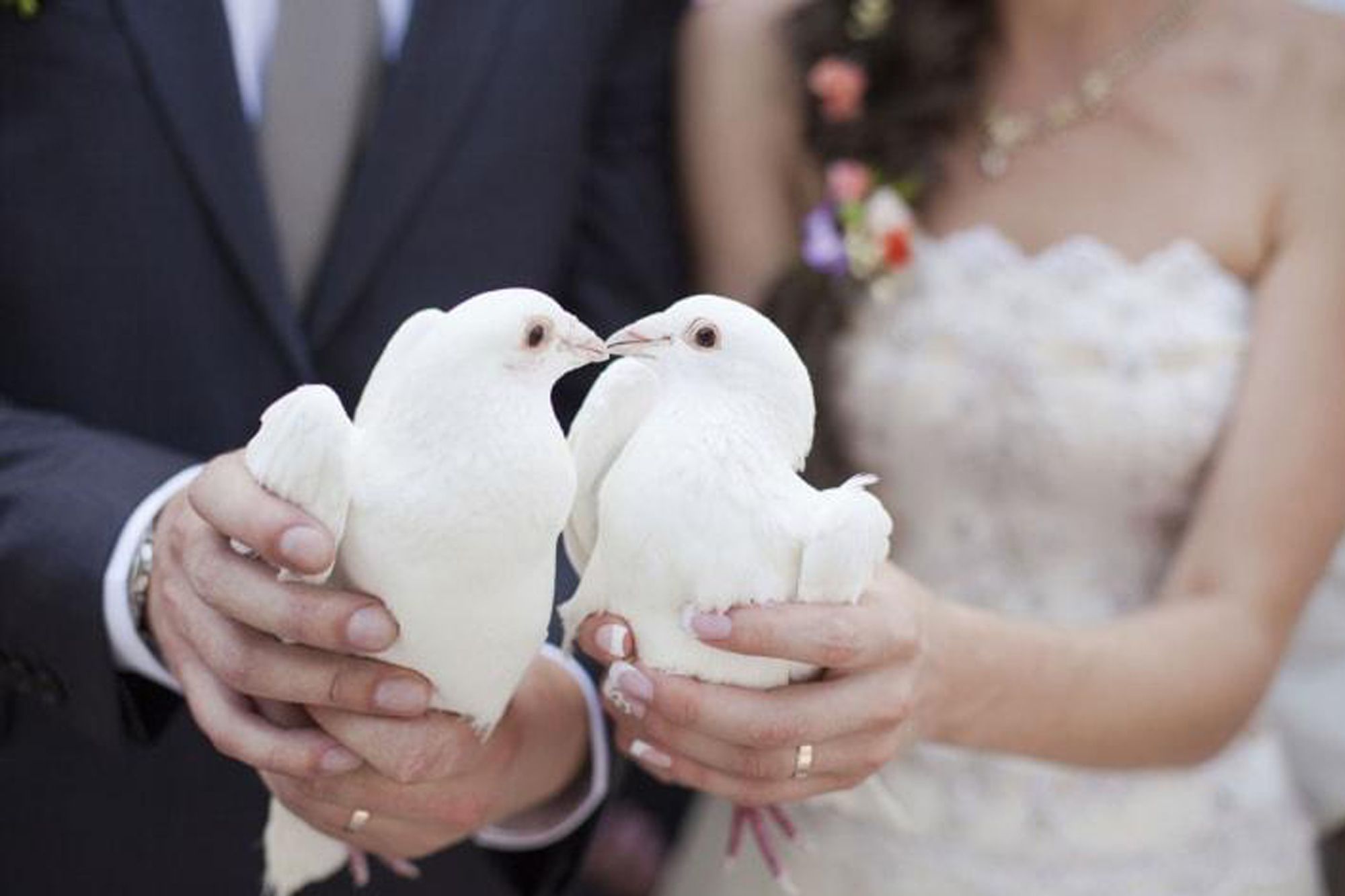 Set Di 4 Colombe Artificiali In Schiuma Con Piume Bianche Per Decorazioni Matrimoniali - 15 Cm Con Piede A Clip Per Alberi E Rami