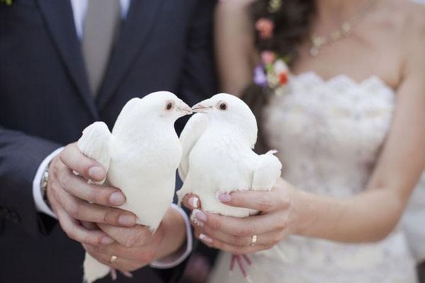 Colombe bianche per il vostro matrimonio: curiosità e stile